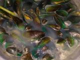 Kerang hijau bumbu spesial