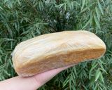 Foto del paso 10 de la receta: Pan Lactal / Molde para Vender