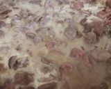 Foto del paso 3 de la receta: Strogonoff de carne 😋
