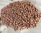 Foto langkah ke 7 dari resep Kacang Telur.