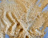 Une image de l'étape 1 de Cuisson couscous à la vapeur.