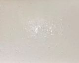 Foto del paso 5 de la receta: Torta de fiambre licuada