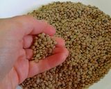 A picture of step 1 of Lentil Soup 2 Units.