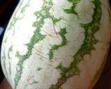 A picture of step 1 of Watermelon juice.