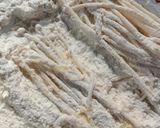 Foto langkah ke 2 dari resep Enoki Crispy.