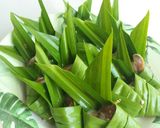 Foto langkah ke 5 dari resep Ayam goreng pandan thailand.