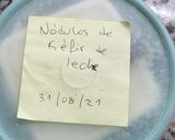Foto del paso 1 de la receta: Como descongelar nódulos kéfir(de leche)
