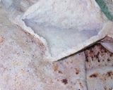 A picture of step 6 of Baladi Bread (with Bran).