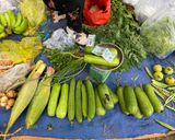 Hình bước làm 1 của món Canh Bí Xanh Nấu Tôm
