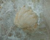Foto del paso 4 de la receta: Rollitos de manzana