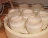 Foto del paso 2 de la receta: Yogurt de queso crema sin azúcar añadido