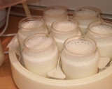 Foto del paso 2 de la receta: Yogurt de queso crema sin azúcar añadido