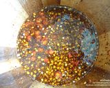 A picture of step 1 of Spicy Rice Noodle Salad (with Fermented Fish Sauce).