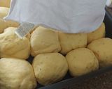 Foto do passo 15 de Pão de cenoura caseiro e fofinho - receita fácil e deliciosa