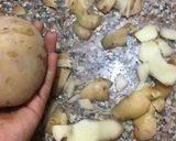 A picture of step 1 of Potato chips.