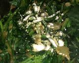 Foto del paso 8 de la receta: Palak paneer estilo Domi