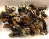 Foto del paso 1 de la receta: Percebes cocidos
