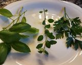 Foto del paso 1 de la receta: Aceite saborizado con hierbas frescas!!