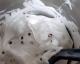 Ribizlis sütemény recept fázis 3 fotója