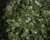 મેથીના ગોટા (Methi Gota Recipe In Gujarati) રેસીપી સ્ટેપ1ફોટો
