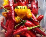 A picture of step 3 of How to make tomatoes powder.