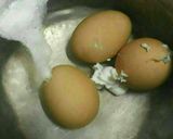 Foto langkah ke 1 dari resep Telor cabe"an.