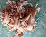 Foto del paso 9 de la receta: Albóndigas con huevo de codorniz y habas