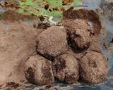 Foto langkah ke 3 dari resep Avocado Chocolate Truffle.