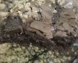 Foto langkah ke 5 dari resep Brownies panggang.
