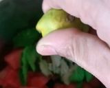 तरबूज कूलर watermelon cooler रेसिपी चरण 1 फोटो