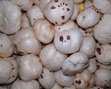 A picture of step 2 of Panchamrat.