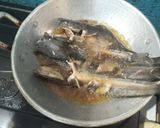 Foto langkah ke 1 dari resep Lele Bakar.