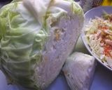 Foto del paso 1 de la receta: Repollo templado al pimentón