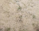 A picture of step 1 of Crispy bhindi fry.