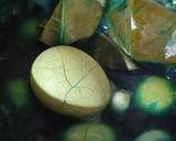Foto langkah ke 4 dari resep Telur Pindang Marble Bunga Telang.