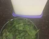 Mint-Masala Lassi recipe step 1 photo