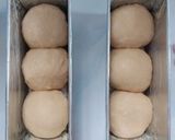 Foto langkah ke 3 dari resep Homemade Roti tawar (starter poolish).