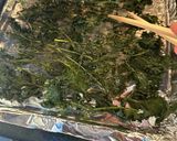 羽衣甘藍健康脆片（Kale Chips)的食譜步驟6照片