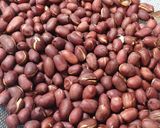 Hình bước làm 1 của món Lạc đỏ rang muối