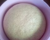 Foto del paso 4 de la receta: Pan rústico natural