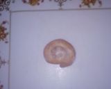 Foto del paso 5 de la receta: Caracoles de masa fritos 🐌