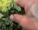 Foto del paso 1 de la receta: Ensalada mixta *Fresca con Limón*