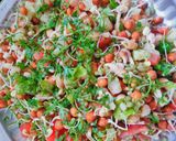 स्प्राउटेड प्रोटीन सलाद (sprouted protein salad recipe in Hindi) रेसिपी चरण 4 फोटो