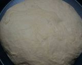 Foto langkah ke 3 dari resep Pizza enak & mudah (no knead dough).