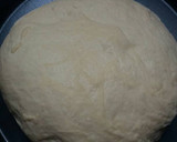 Foto langkah ke 3 dari resep Pizza enak & mudah (no knead dough).