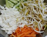 Foto langkah ke 1 dari resep Asinan Betawi.