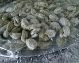 Foto del paso 7 de la receta: Ñoquis Integrales de Verdura
