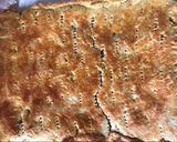 Almás pite recept fázis 6 fotója