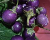 Foto langkah ke 1 dari resep Oseng Bawang Merah & Terong Bulat.