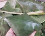 Foto langkah ke 4 dari resep Bacang Nasi Tanpa Santan.
